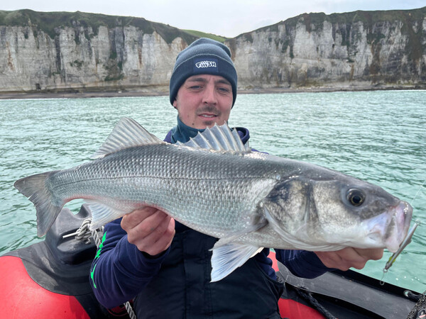 Fiiish Hypno Cast Zeevis Kunstaas 6.4cm (20g)