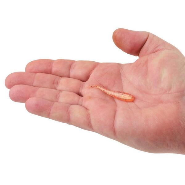 Berkley Powerbait Minnow Shad (18 pieces) - Sangria