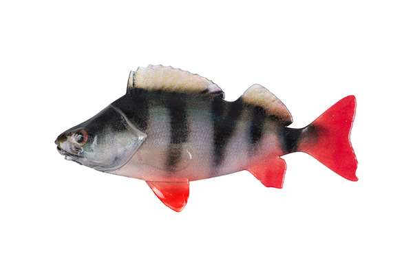 Fox Rage Ultra Natural Fillet Shad 6cm (4 Stuks)