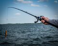 Savage Gear Alpha SG8 Swimbait Baitcaster