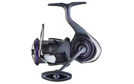 Daiwa 25 Prorex MQ Spinmolen