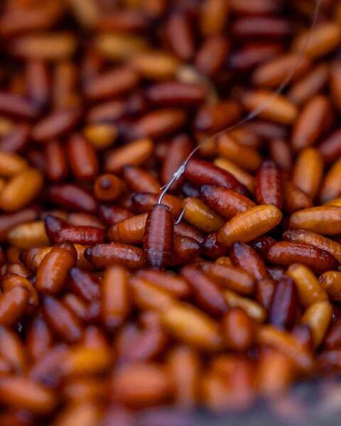 Haczyki Bezzadziorowe Matrix X4 Commercial Silvers (10 Sztuk)