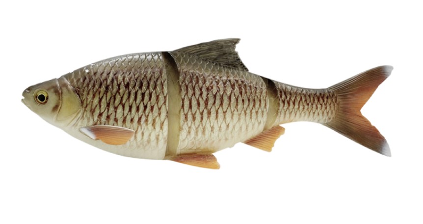 beste hängematte mit moskitonetz Camping-Hängematte – Naturwide Widder Fahrradbeleuchtung Vorne & General Electric Größe:S: 51 bis 55