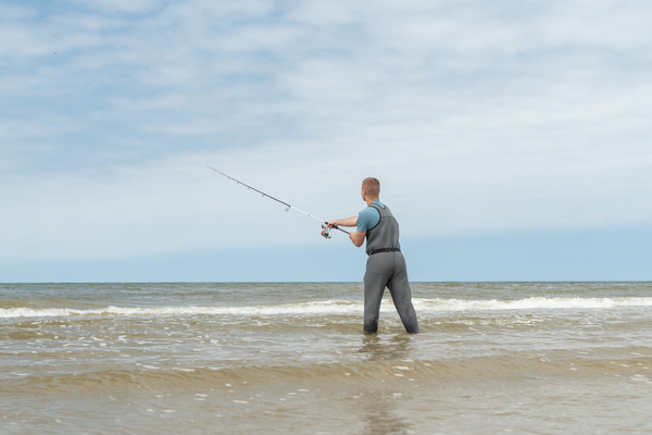 Wędka Ultimate Bluecore Seabass Allround 2.90m (20-60g)