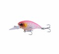 Ultimate Perch Gift Box (5 Stuks)