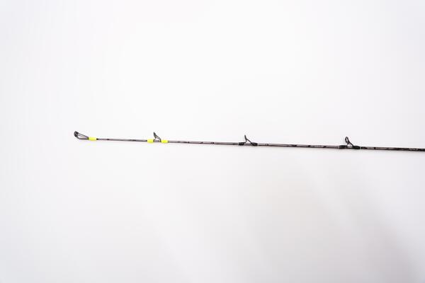 Vagner Magic V-Spin 10 Meervalhengel 1.95m (10-80g)