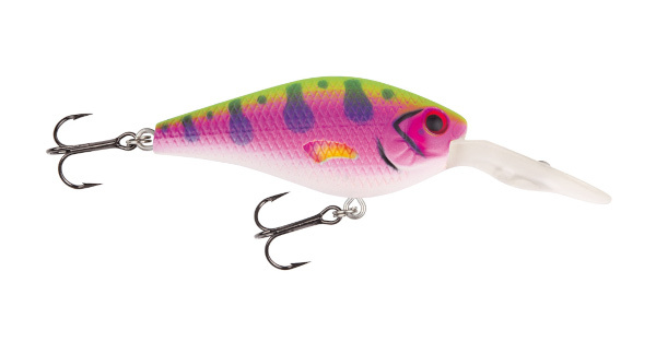 Jackson Barschwobbler - Rainbow Trout 6cm