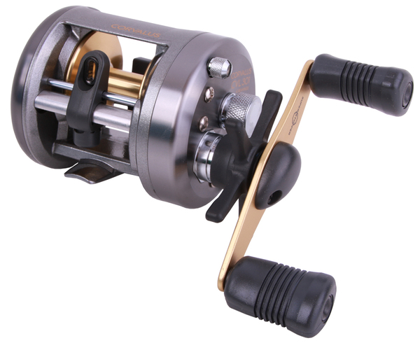 Heavy Cast Set mit Fox Rage Rute Shimano Rolle und Spiderwire