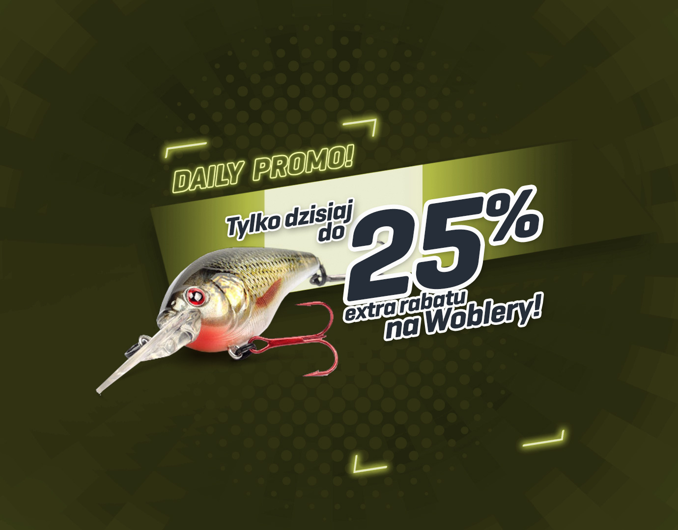 Subbanner: Tot 25% Pluggen