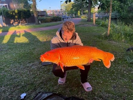 De vorige winnaar