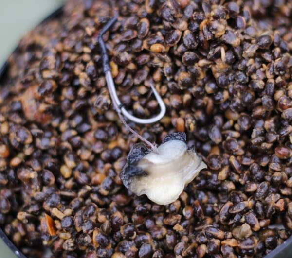 Subgrubs Snails Natural Hookbaits (30 Pieces)