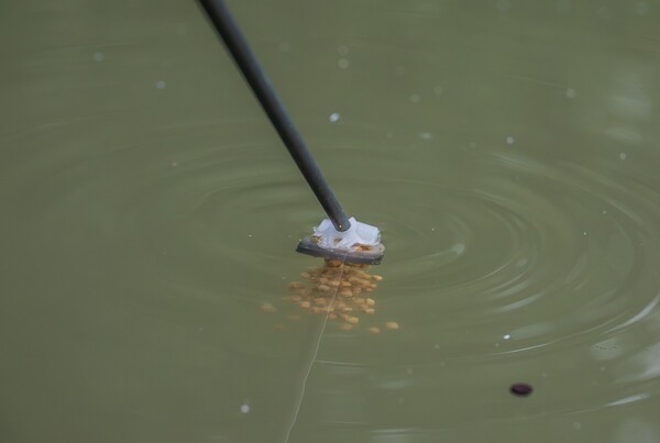 Guru Fast Release Pole Pots (2 Sztuki)