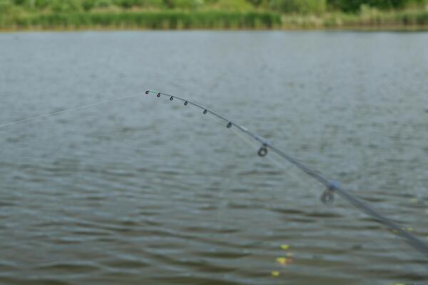 Ultimate Method Feeder 3.00m (-50g)