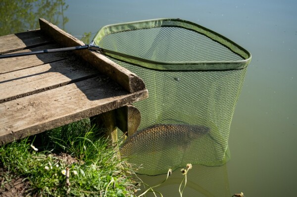 Korum Full Metal Speci Square Latex Schepnet