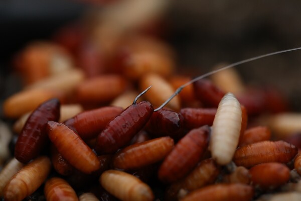 Guru Pole Special Barbed Anzuelos (10 pzas.)