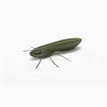 Nays BG 2.5" 6.4cm Creaturebait (6 Stuks)