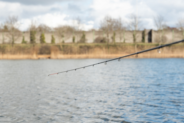 Ultimate Method Mind Feederhengel 3.30m (20-70g)