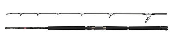 Penn Ally II Offshore Casting Spin Zeevishengel