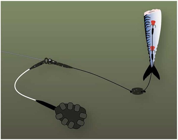 Fox Rage Predator Camo Deadbait Pop-Up Weights (5pcs)