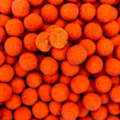Pro Line Boilies