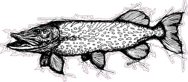 EBH Arts Pike Sketch Fishing Sticker XL (Geschikt Voor Op Auto's/Boten)