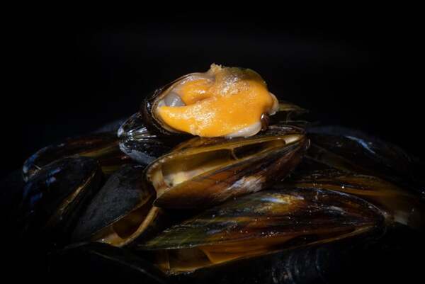 Subgrubs Mossel Natural Hookbait (200g)