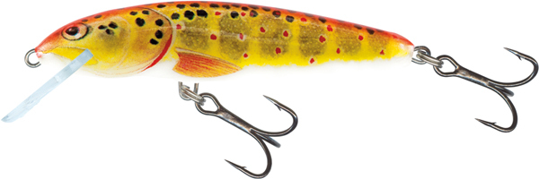 Salmo Minnow Floating