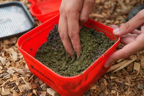 Pudełko Ultimate Bait Strainer