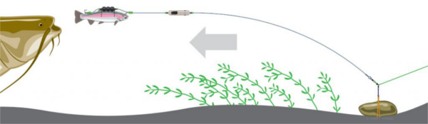 Madcat Adjusta Profi Arreglo de Río para Cebo Muerto