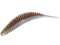 Lucky John Pro Series Soft Lure Ultraworm 2.0 Two Tone 5cm (9 pcs) - T46