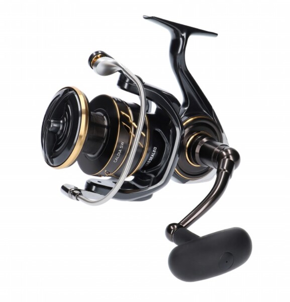 Daiwa Caldia SW Marine Fishing Reel
