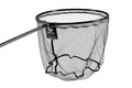 Guru Latex Witvis Net