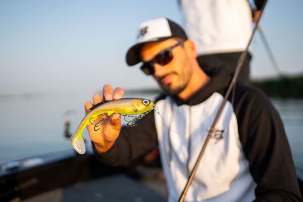 Abu Garcia Beast Slim Paddletail 21 cm 94 g (4 pzas.)