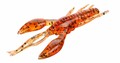 Mikado Cray Fish 9cm (2pcs) - Mikado Cray Fish 9 cm - Orange