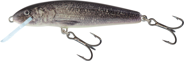 Salmo Minnow Floating