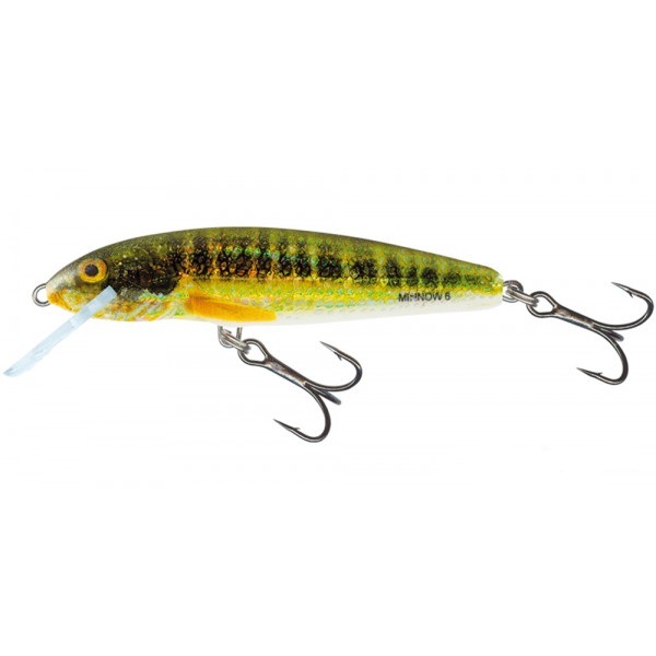 Salmo Minnow Floating