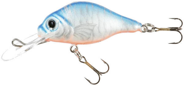 Jaxon Holo Select Abra (scelta fra 3 opzioni) - NL