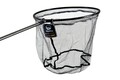 Guru Latex Witvis Net