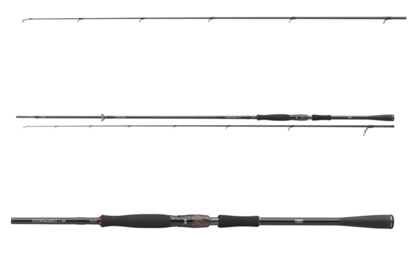 Canne Spinning Daiwa Tournament AGS