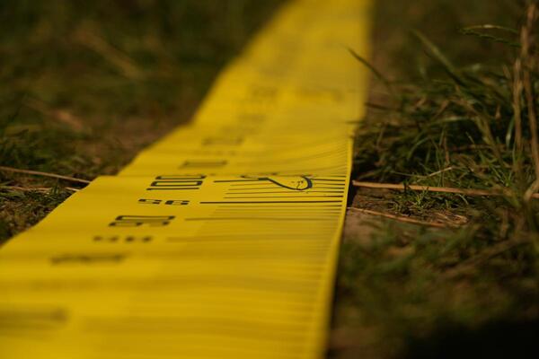 Black Cat Cat Measure Meetlint