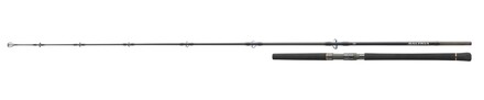 Daiwa Saltiga Stick'n Pop Meeresrute 8.3ft/2.50m (80-125g)