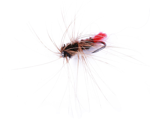 Ultimate Drifter Fly Combo Set para Pesca con Mosca