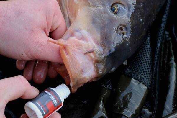 Ultimate Tratamiento de Heridas Todo en Uno