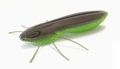 Nays BG 2,0" 5,1 cm Creaturebait (6 pzas.) - C-05