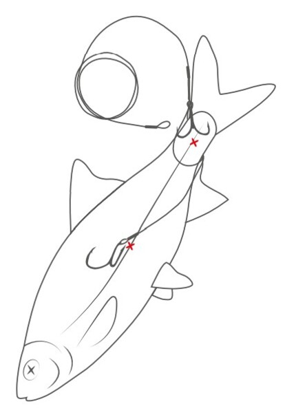 Westin Dead bait Long-Cast Rig Single Hook (65cm)