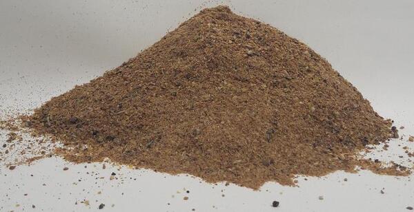 Zanęta Zammataro Super Voorn Bert & Leo (1kg)