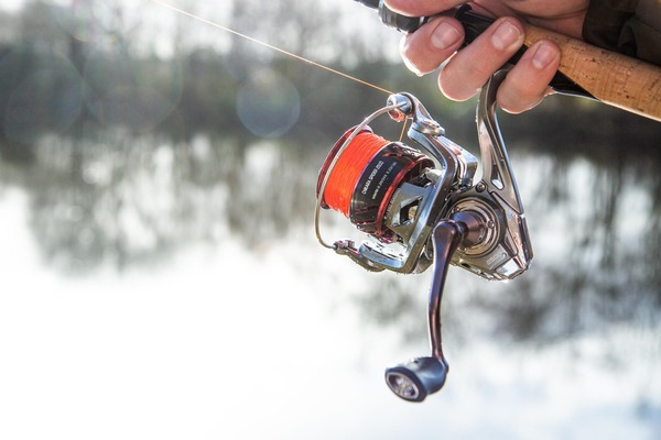 Ultimate Chikara Spider Spinmolen