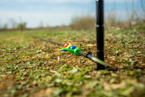 Ridgemonkey Nite Glo Wrap Sticks