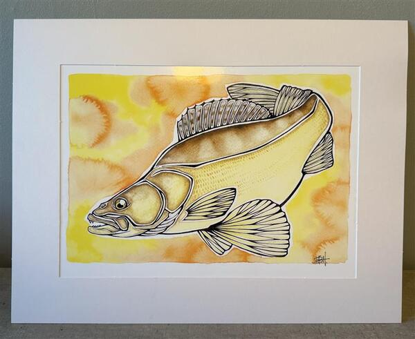 EBH Arts Vis Poster Zander (Ingelijst)