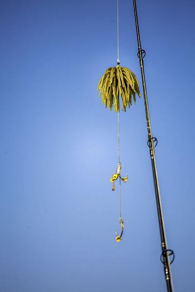 Black Cat Real Worm Teaser Catfish Lure Rig